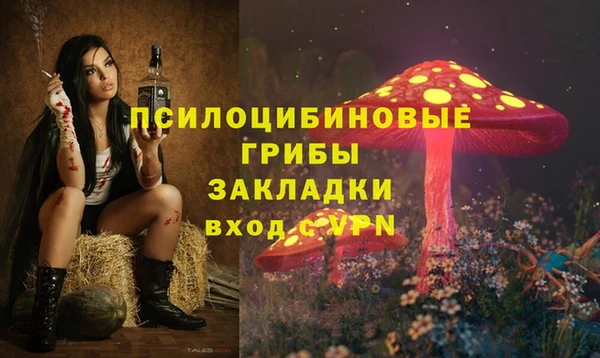 2c-b Дмитров