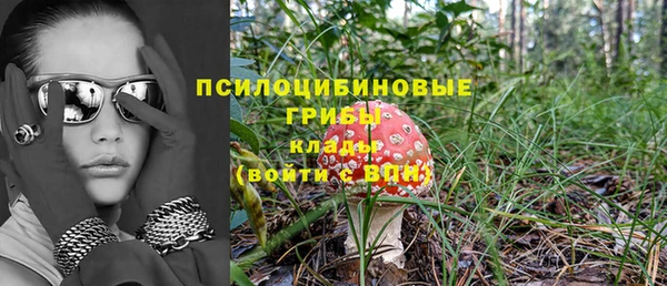2c-b Дмитров