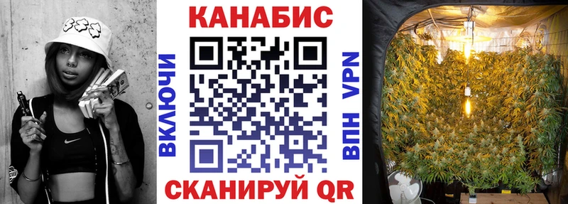 Купить  Болгар  Бошки Шишки White Widow 